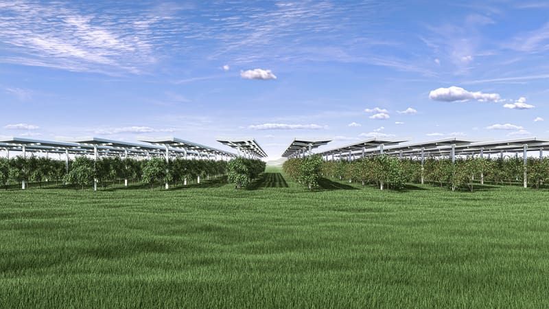 MABEWO Agri-Racks